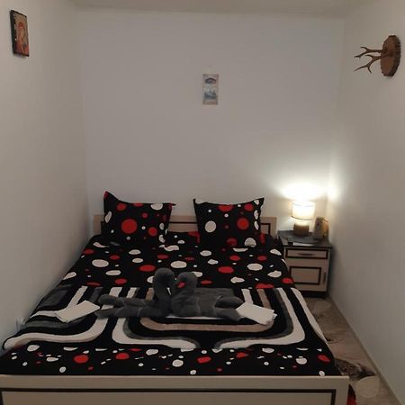 Florin Apartament Sighişoara Exterior foto
