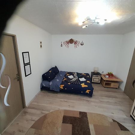 Florin Apartament Sighişoara Exterior foto