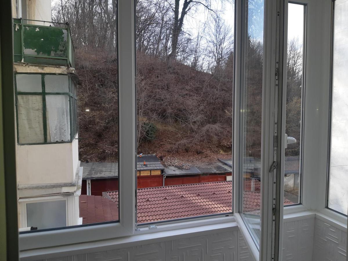 Florin Apartament Sighişoara Exterior foto