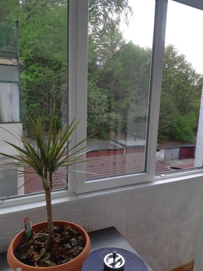 Florin Apartament Sighişoara Exterior foto