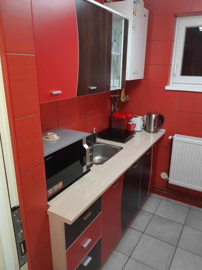 Florin Apartament Sighişoara Exterior foto