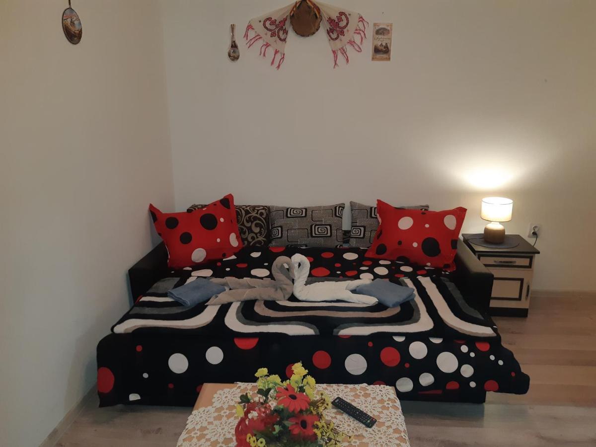 Florin Apartament Sighişoara Exterior foto